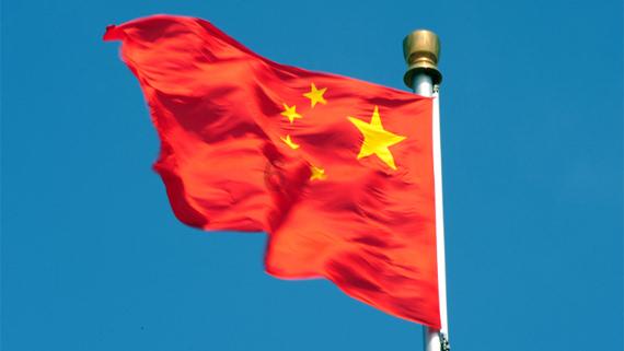 有趣的动物拼图